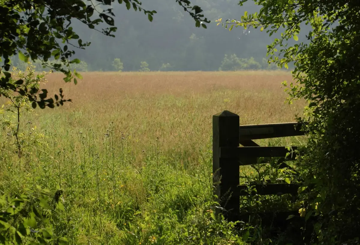 Secret Meadows, farm in Suffolk