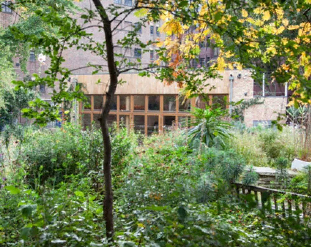 The Phoenix Garden, garden in Camden