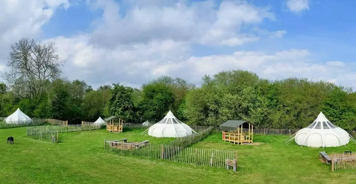 Wowo Campsite, farm in Sussex