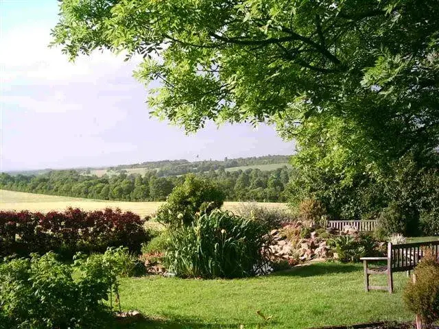 The Quiet View, garden in Kent