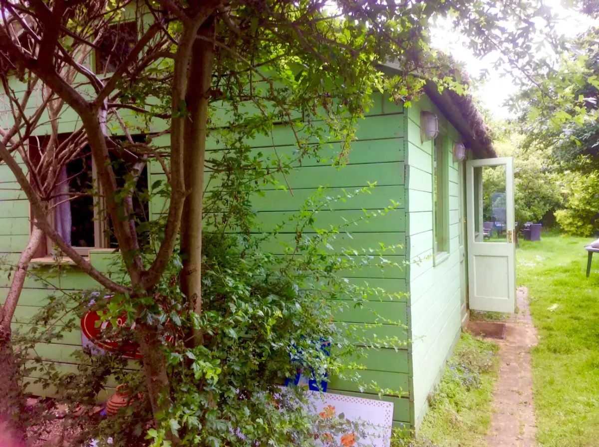 The Green Shed N10, garden in Haringey