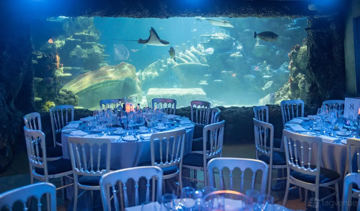 Sea Life London Aquarium, Lambeth