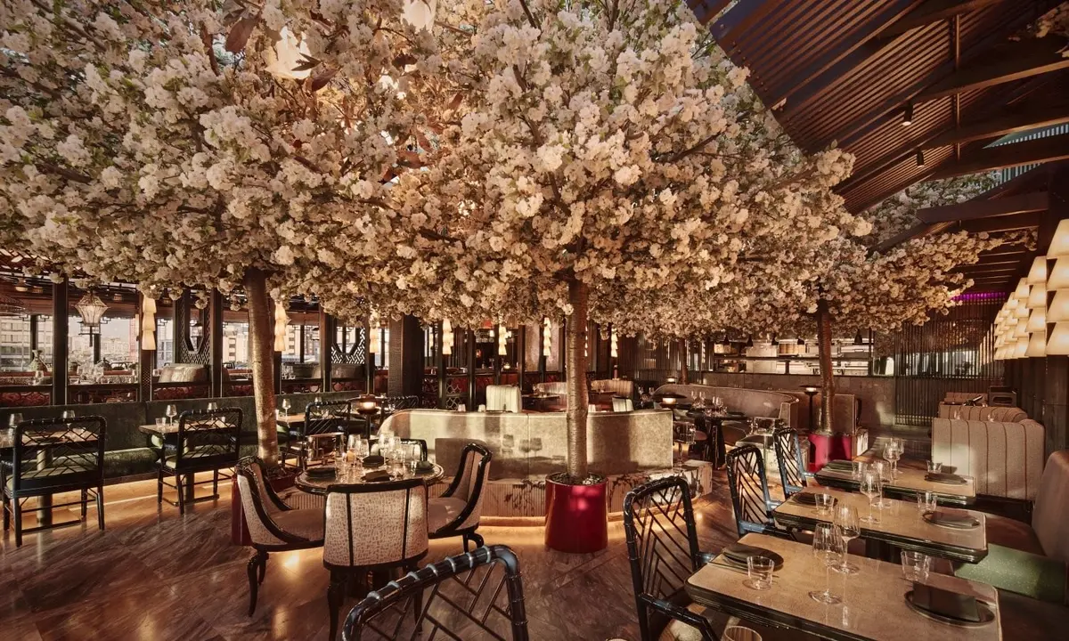 TATTU London, Camden