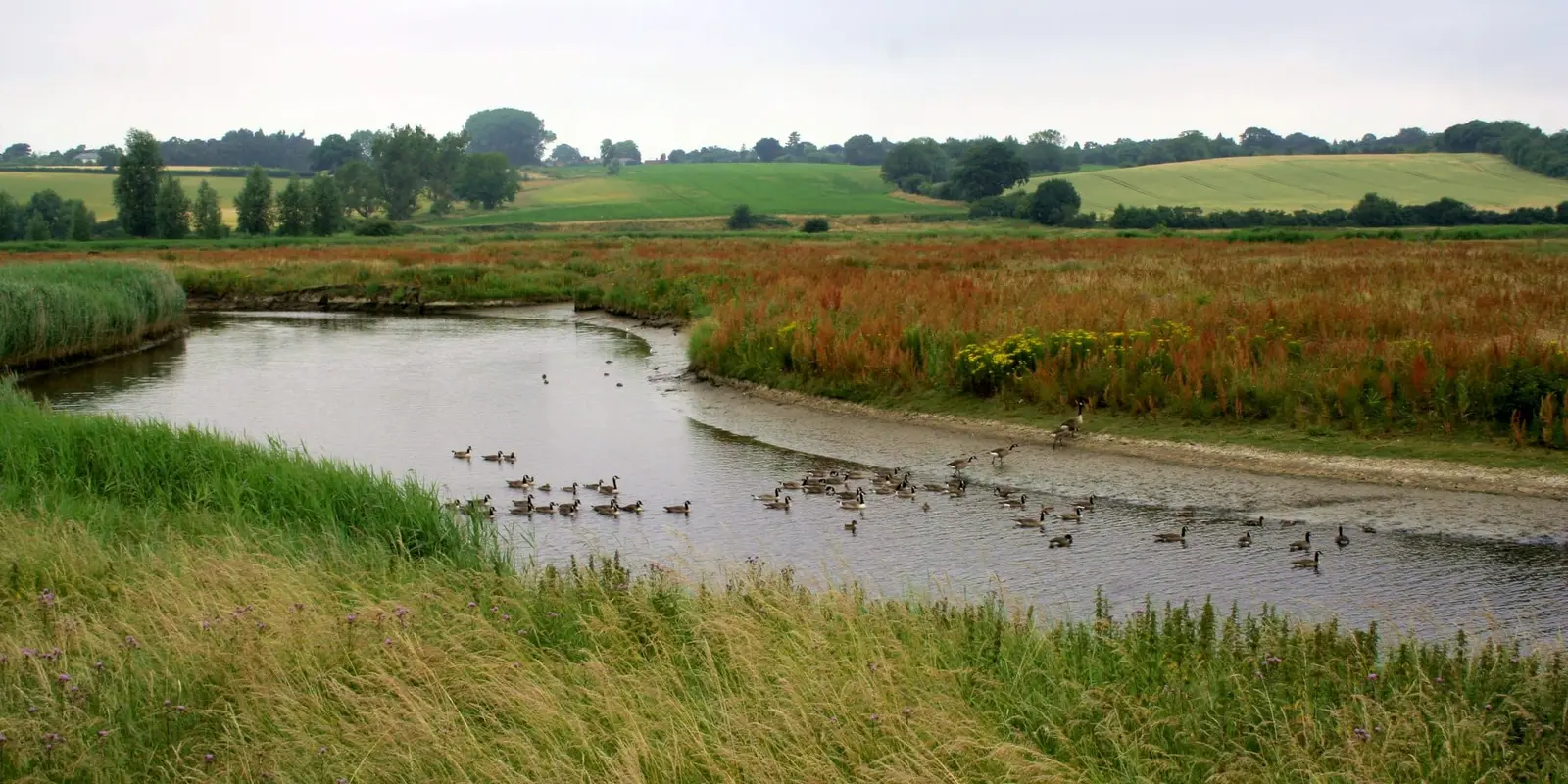 The River Stour winding through meadows near Manningtree