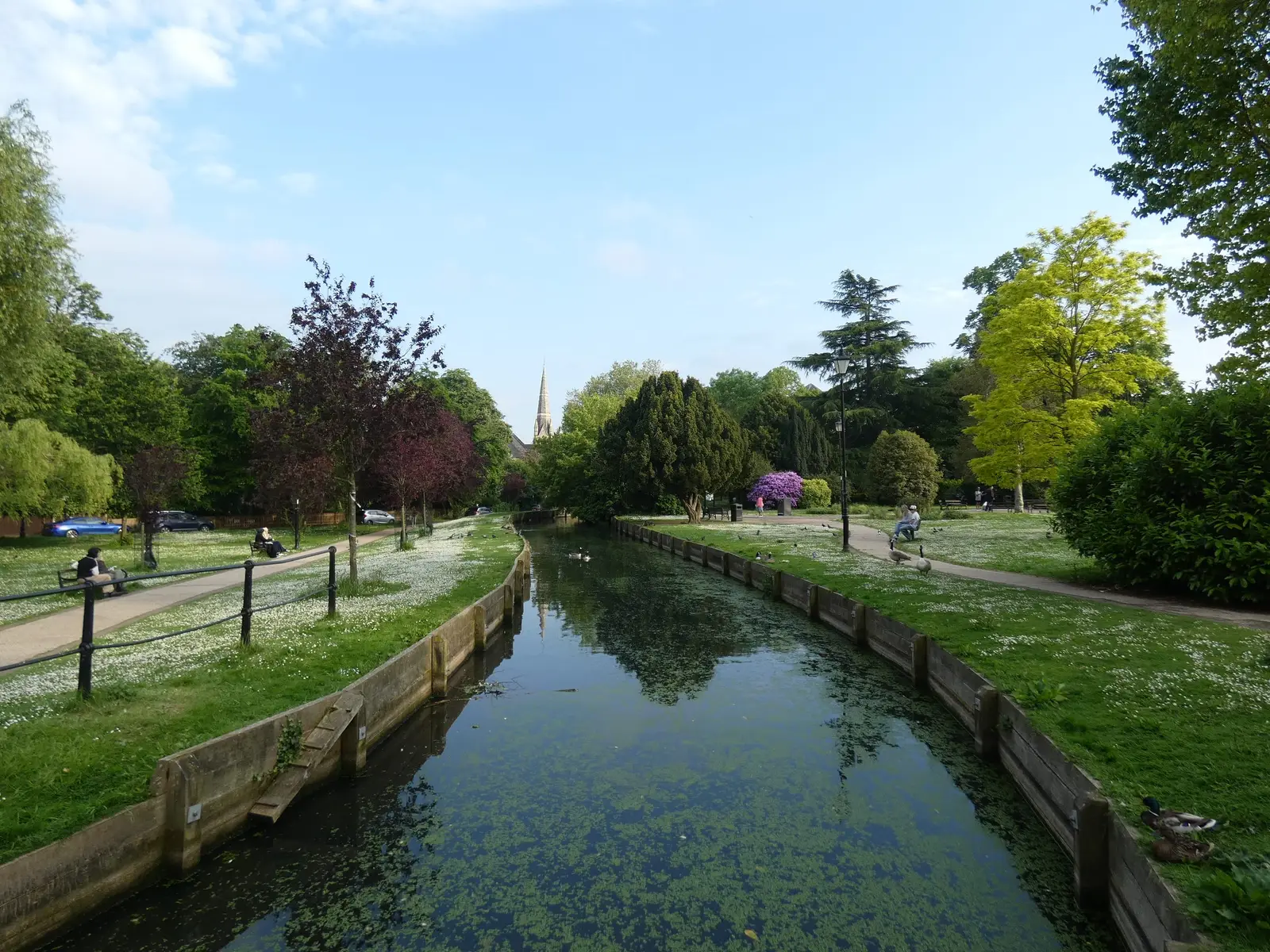 The New River Loop winding through green parkland in Enfield Town