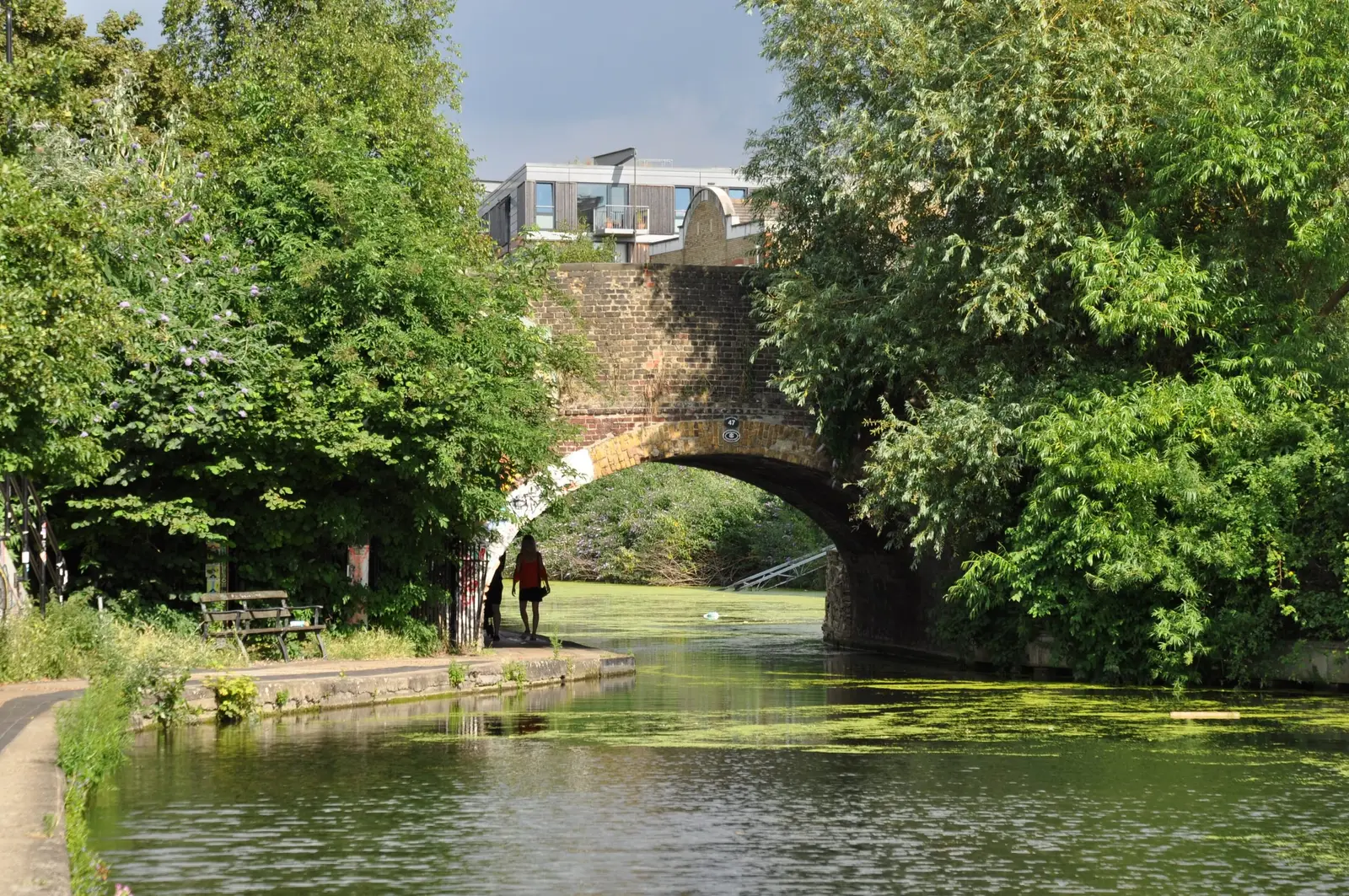 Haggerston Bridge over a leafy stretch of the Regent’s Canal