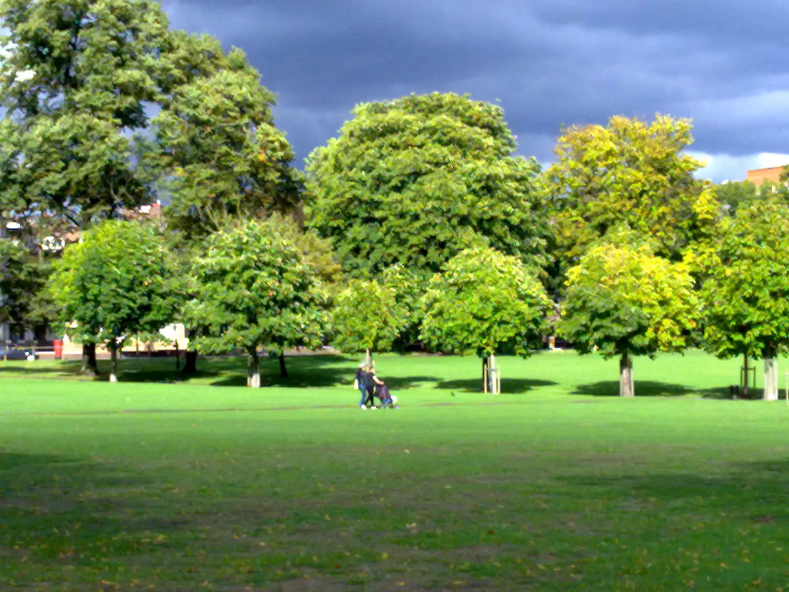 Wide green lawns and trees on Peckham Rye