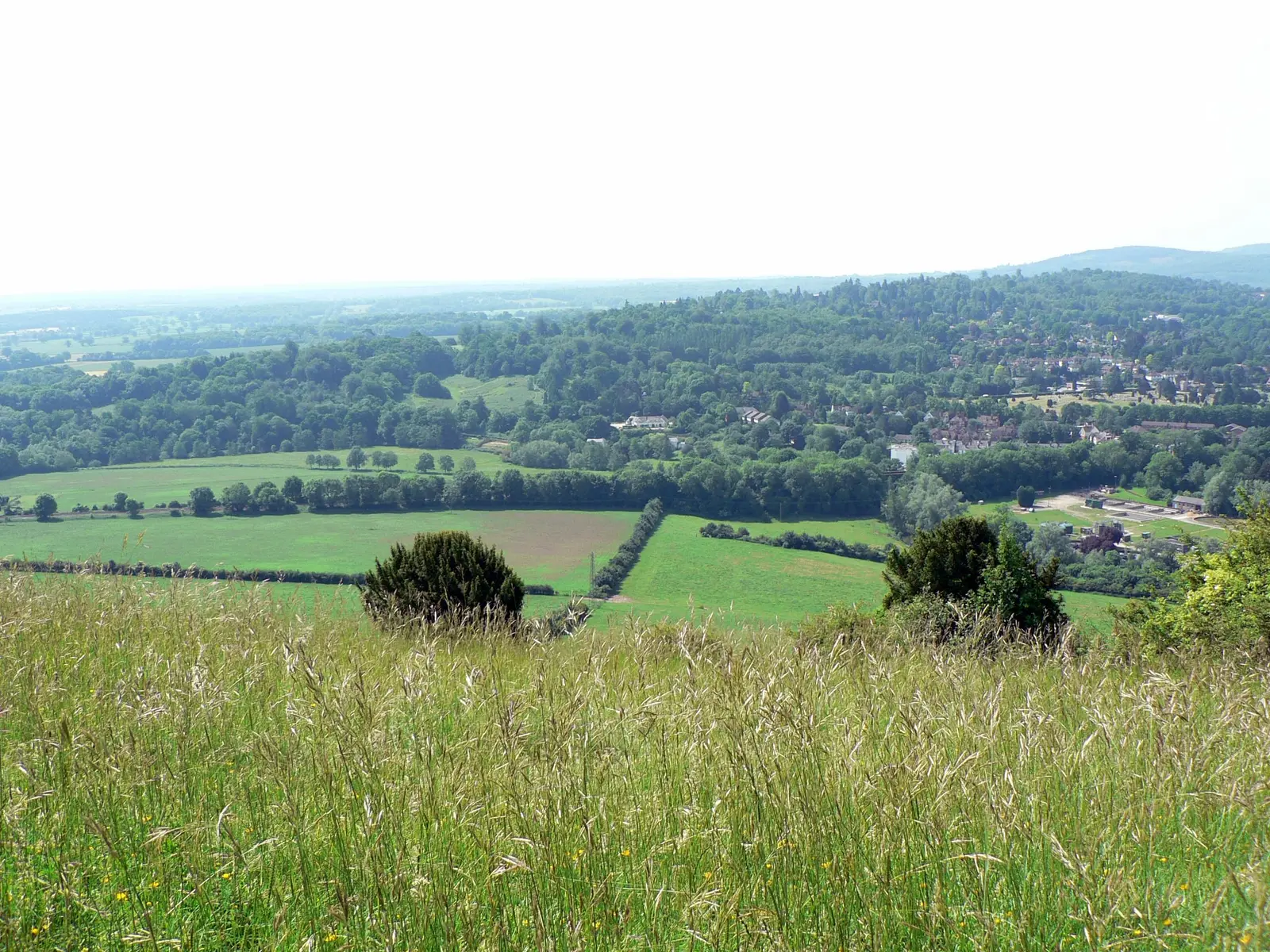 Rolling Surrey countryside seen from the top of Box Hill