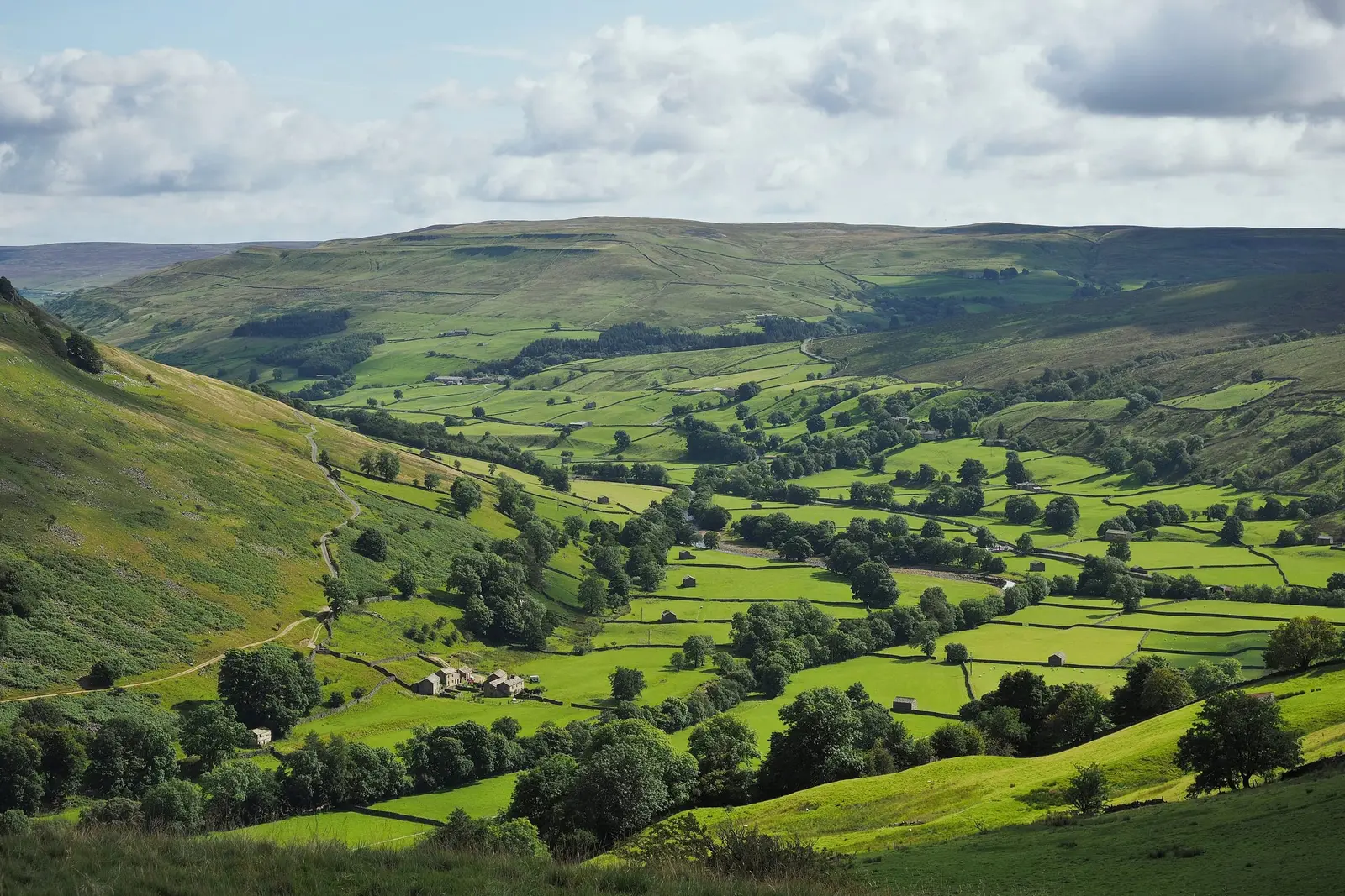 Swaledale’s fields and stone walls from Kisdon Hill in the Yorkshire Dales