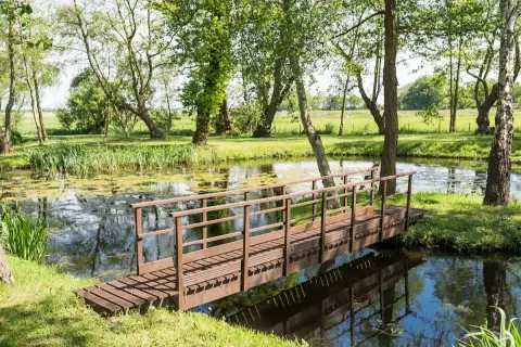 Hall Farm Cottages, farm in Norfolk