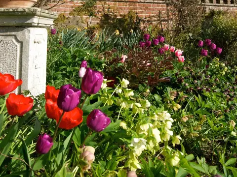 Layer Marney Tower, manor house in Essex