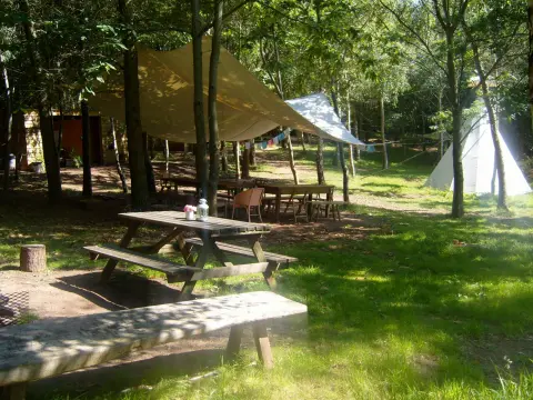 Woodland Tipi and Yurt Holidays, venue in Herefordshire