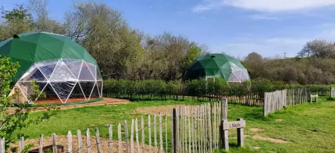 Wowo Campsite, farm in Sussex
