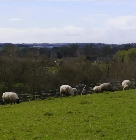 Willowbrook Farm, farm in Oxfordshire