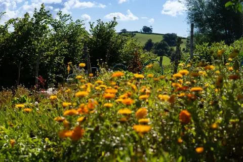 Eden Rise Retreat Venue, barn in Devon