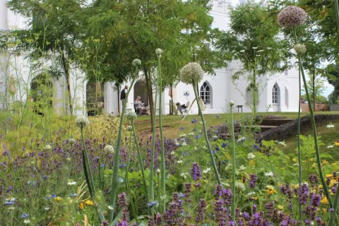 Strawberry Hill House & Garden, manor house in Richmond upon Thames
