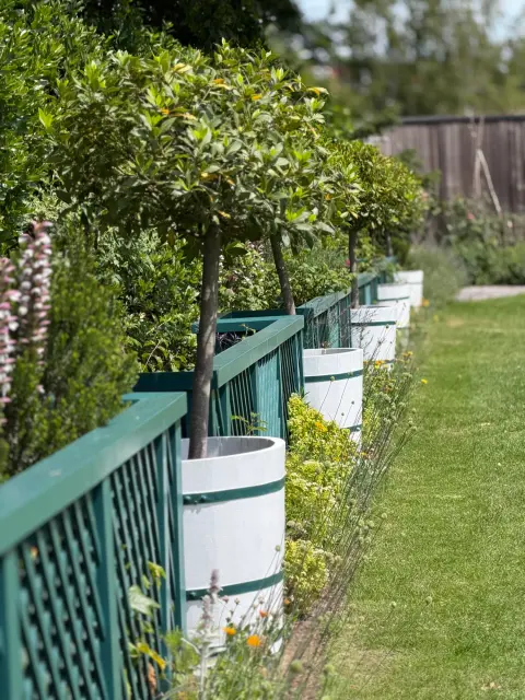 Strawberry Hill House & Garden, manor house in Richmond upon Thames
