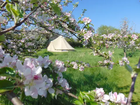 Cotswold Glamping, farm in Gloucestershire