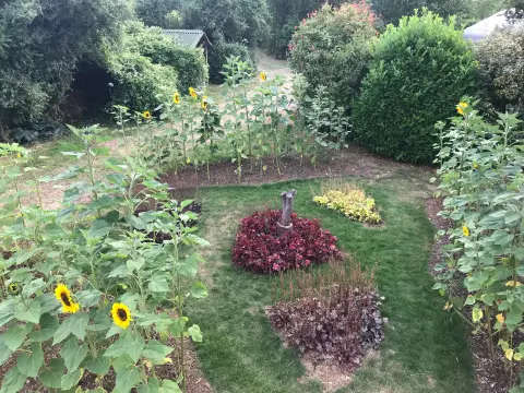 The Quiet View, garden in Kent