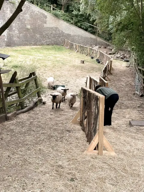Kentish Town City Farm, farm in Kentish Town