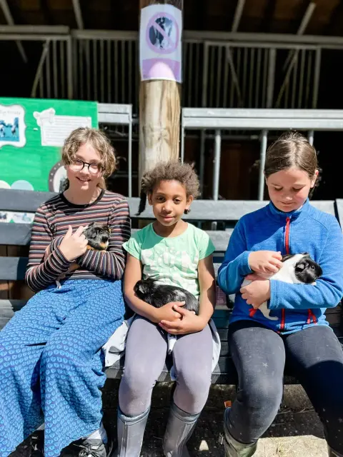 Kentish Town City Farm, farm in Kentish Town