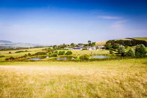 Nettlecombe Farm, farm in South East England