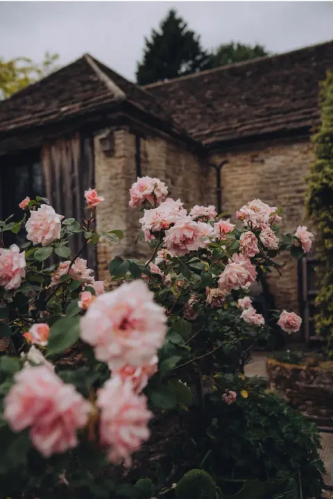 Church Farm Estate, farm in Wiltshire