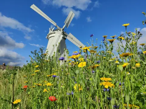 Upminster Windmill, venue in Havering