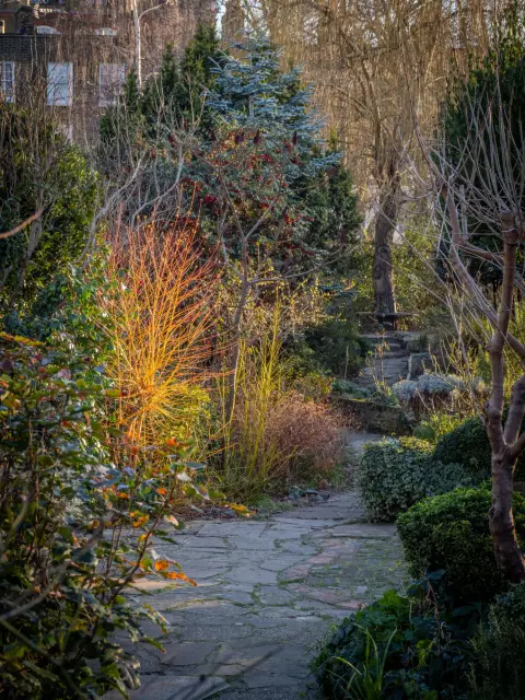 Culpeper Community Garden, garden in Angel