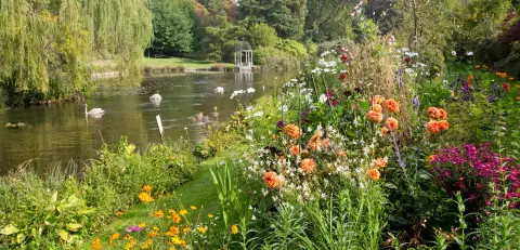 Springhead Trust, retreat house in Dorset