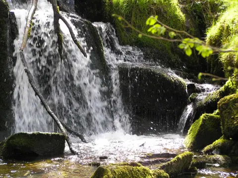 Cae Mabon, retreat house in Wales
