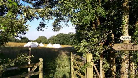 Hawthbush Farm, farm in Sussex