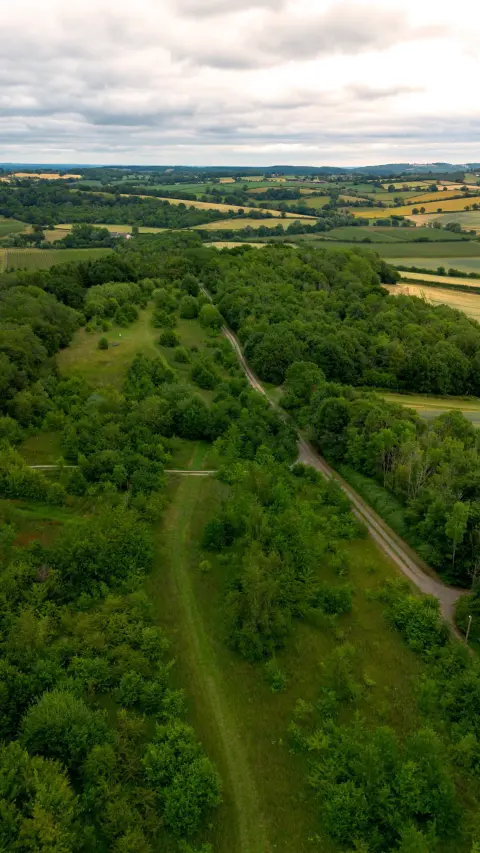 Brook House Woods, venue in Herefordshire