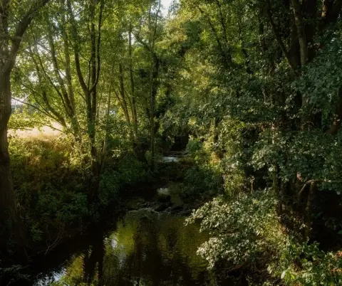 Brook House Woods, venue in Herefordshire
